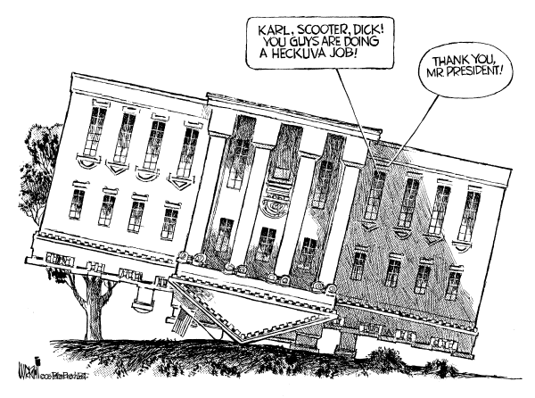 Political cartoon on Investigation Targets White House by Don Wright, Palm Beach Post