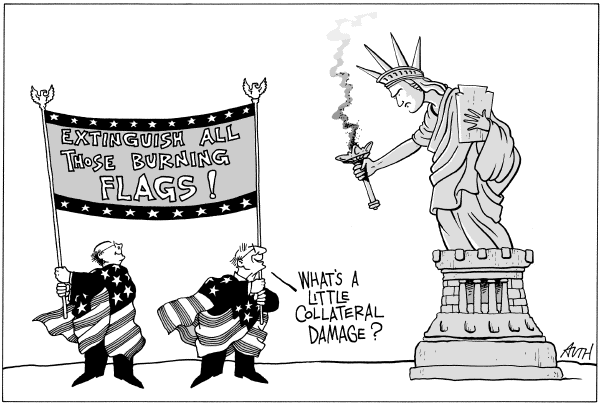 Editorial Cartoon by Tony Auth, Philadelphia Inquirer on Flag Amendment Fails By 1 Vote