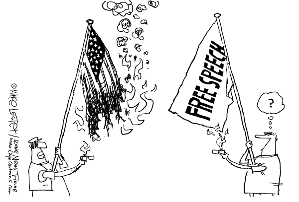 Editorial Cartoon by Mike Lester, Rome News-Tribune on Flag Amendment Fails By 1 Vote