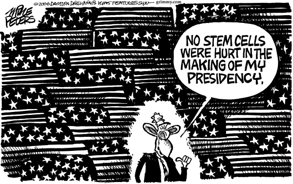 Editorial Cartoon by Mike Peters, Dayton Daily News on Bush Vetoes Stem Cell Bill