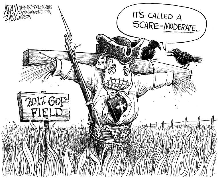 Political/Editorial Cartoon by Adam Zyglis, The Buffalo News on Perry Climbs in Polls