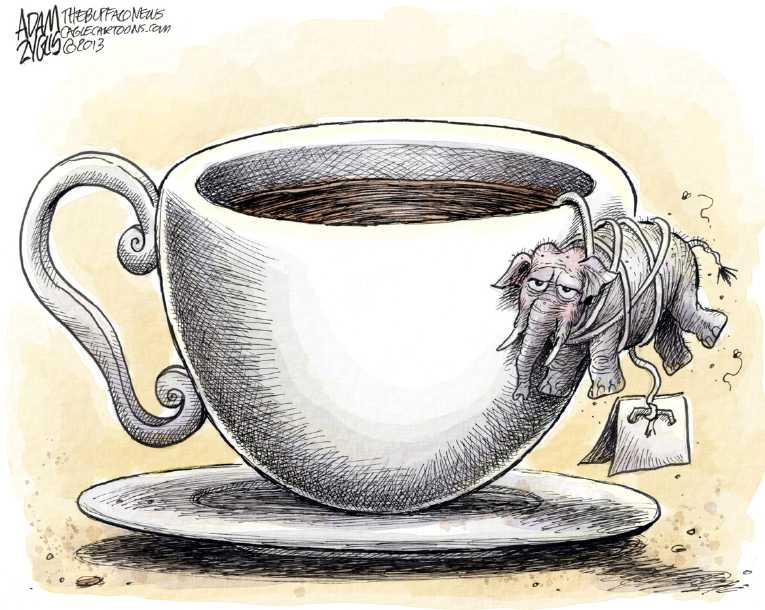 Political/Editorial Cartoon by Adam Zyglis, The Buffalo News on GOP Upset With Site Woes