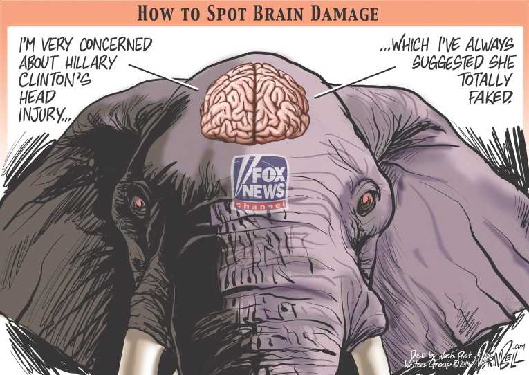 Political/Editorial Cartoon by Darrin Bell, Washington Post Writers Group on Rove Alleges Brain Damage
