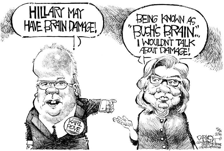 Political/Editorial Cartoon by John Darkow, Columbia Daily Tribune, Missouri on Rove Alleges Brain Damage