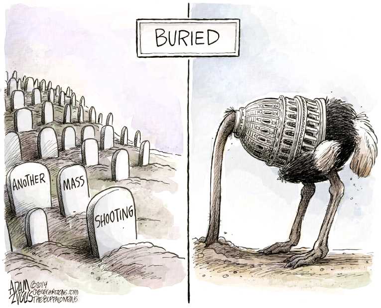 Political/Editorial Cartoon by Adam Zyglis, The Buffalo News on Questions Remain After Killings