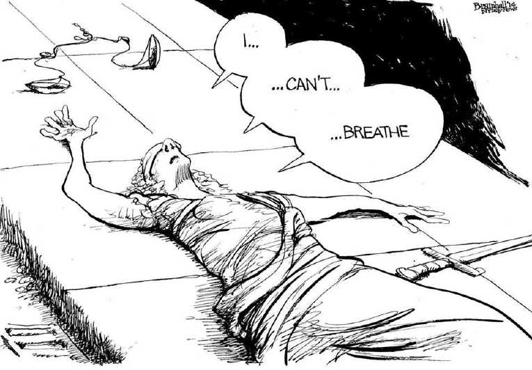 Political/Editorial Cartoon by Bill Bramhall, New York Daily News on Protests Spread Throughout US
