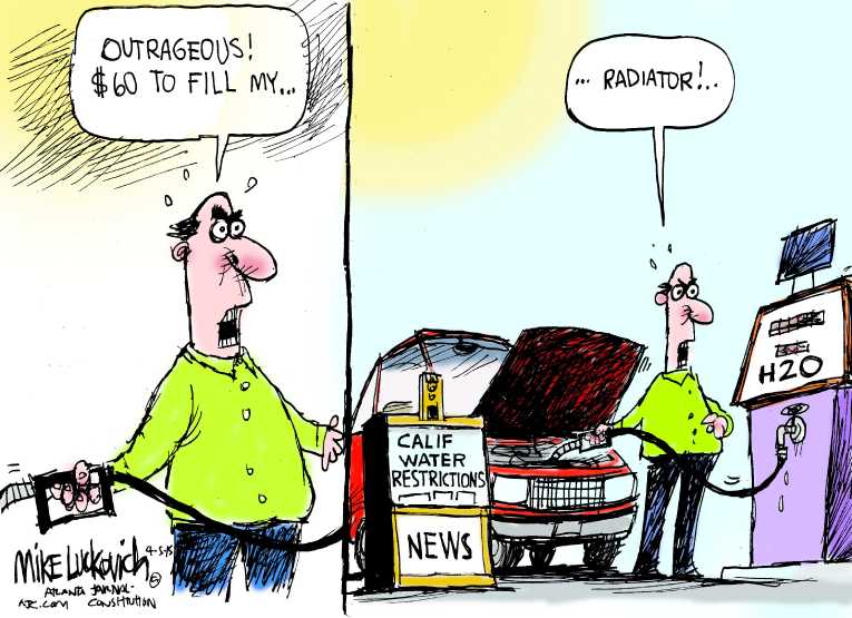 Political Cartoon on 'California Imposes Water Restrictions' by Mike  Luckovich, Atlanta Journal-Constitution at The Comic News