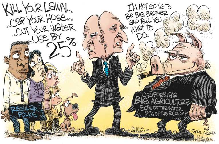 Political/Editorial Cartoon by Daryl Cagle, Cagle Cartoons on California Imposes Water Restrictions