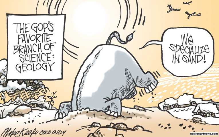 Political/Editorial Cartoon by Mike Keefe, Denver Post on Record Rain Drowns Texas