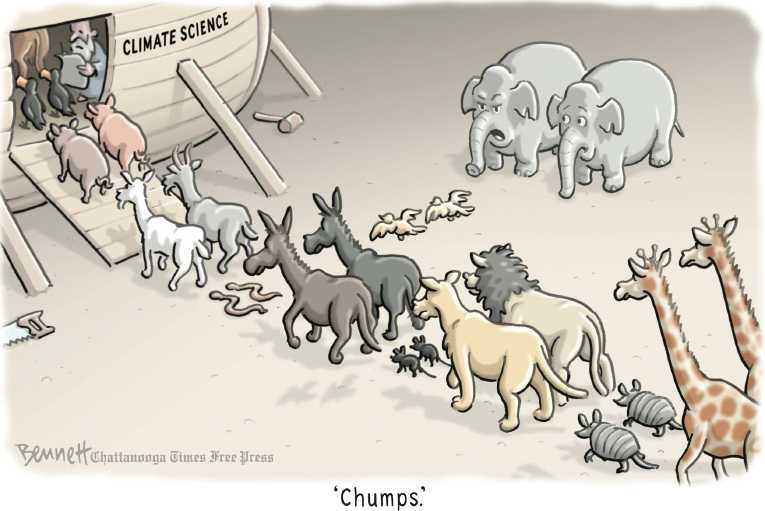 Political/Editorial Cartoon by Clay Bennett, Chattanooga Times Free Press on Record Rain Drowns Texas