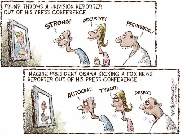Political/Editorial Cartoon by Nick Anderson, Houston Chronicle on Trump Strikes Chord