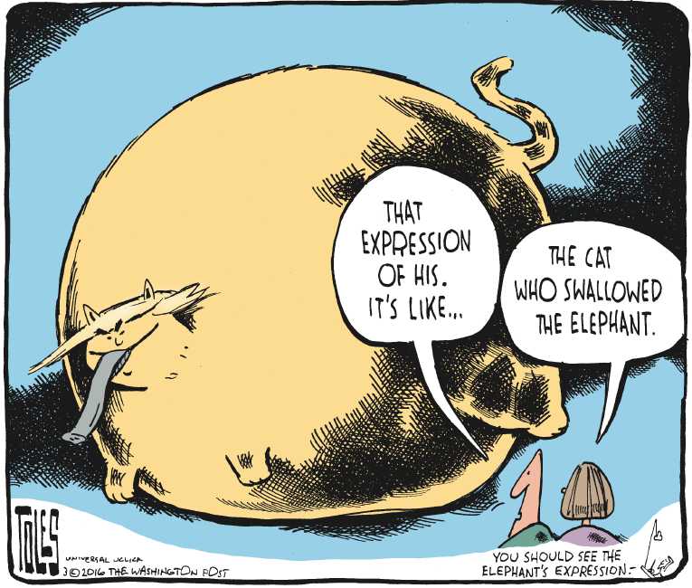 Political/Editorial Cartoon by Tom Toles, Washington Post on Trump Widens Lead