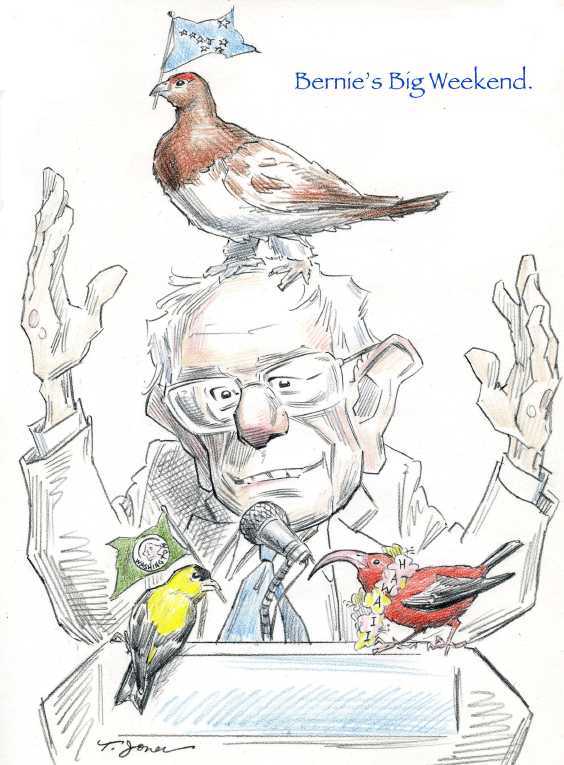Political/Editorial Cartoon by Taylor Jones, Tribune Media Services on Sanders Crushes Clinton