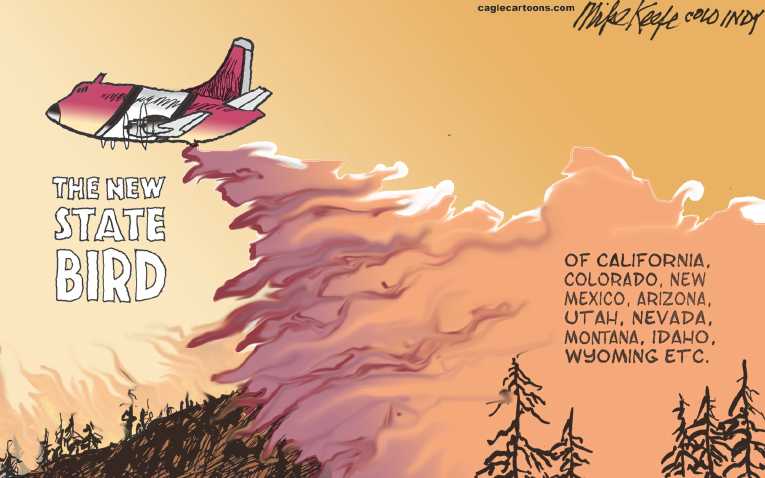 Political/Editorial Cartoon by Mike Keefe, Denver Post on Floods and Fires Batter US