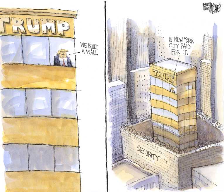 Political/Editorial Cartoon by Matt Davies, Journal News on Trump’s Policies Taking Shape