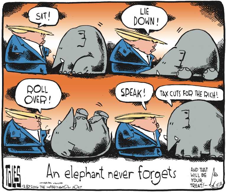 Political/Editorial Cartoon by Tom Toles, Washington Post on Trump’s Policies Taking Shape
