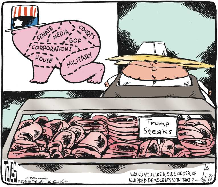 Political/Editorial Cartoon by Tom Toles, Washington Post on Trump’s Policies Taking Shape