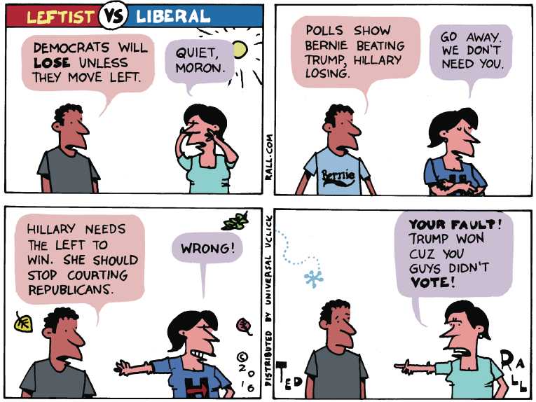 Political/Editorial Cartoon by Ted Rall on Democrats Bitter About Election