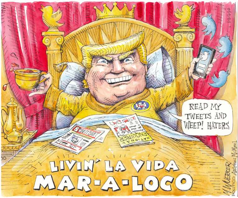 Political/Editorial Cartoon by Matt Wuerker, Politico on President Hitting His Stride