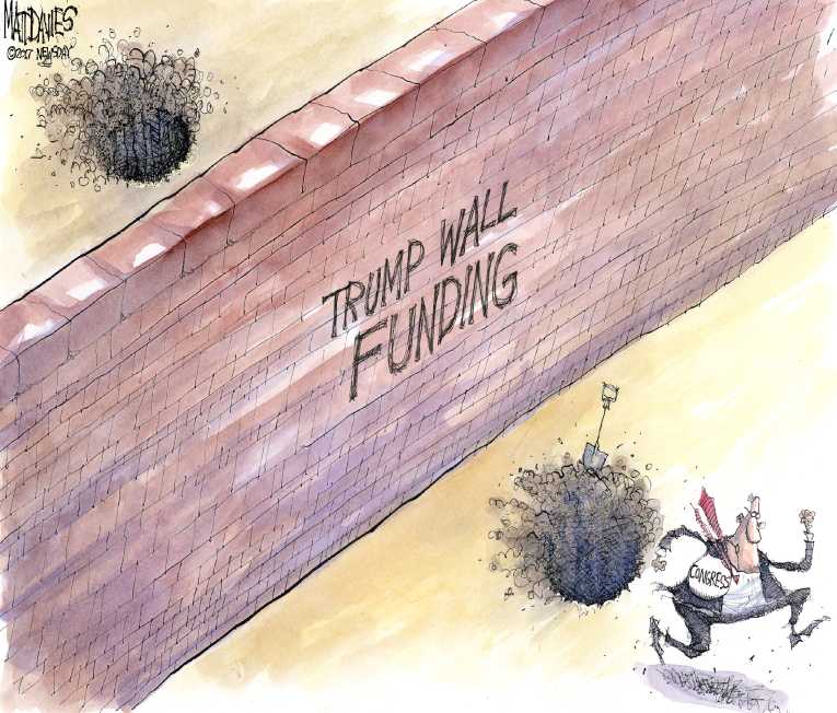 Political/Editorial Cartoon by Matt Davies, Journal News on Trump Sizes Up Wall