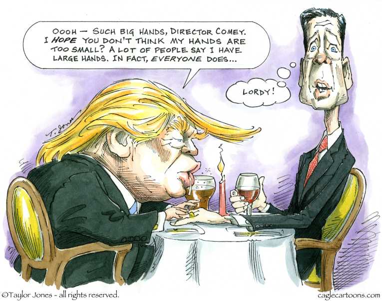 Political/Editorial Cartoon by Taylor Jones, Tribune Media Services on Investigations Slam DC