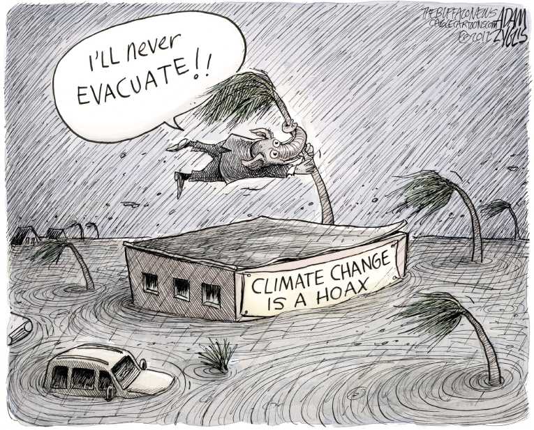 Political/Editorial Cartoon by Adam Zyglis, The Buffalo News on Monster Irma