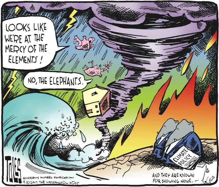 Political/Editorial Cartoon by Tom Toles, Washington Post on Monster Irma