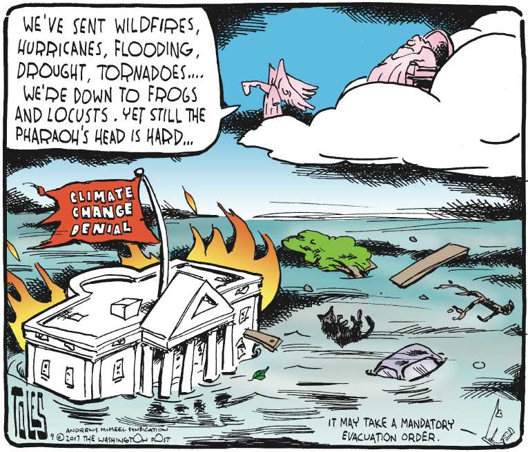 Political/Editorial Cartoon by Tom Toles, Washington Post on Monster Irma