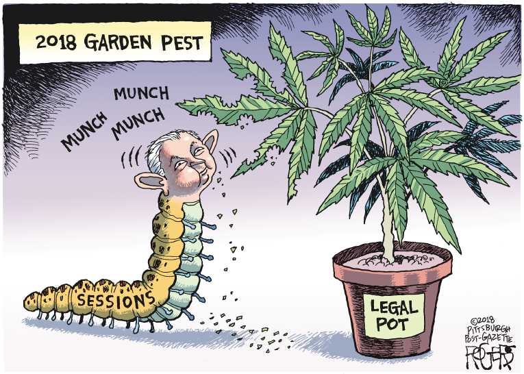 Political/Editorial Cartoon by Rob Rogers, The Pittsburgh Post-Gazette on Sessions Rescinds Pot Order