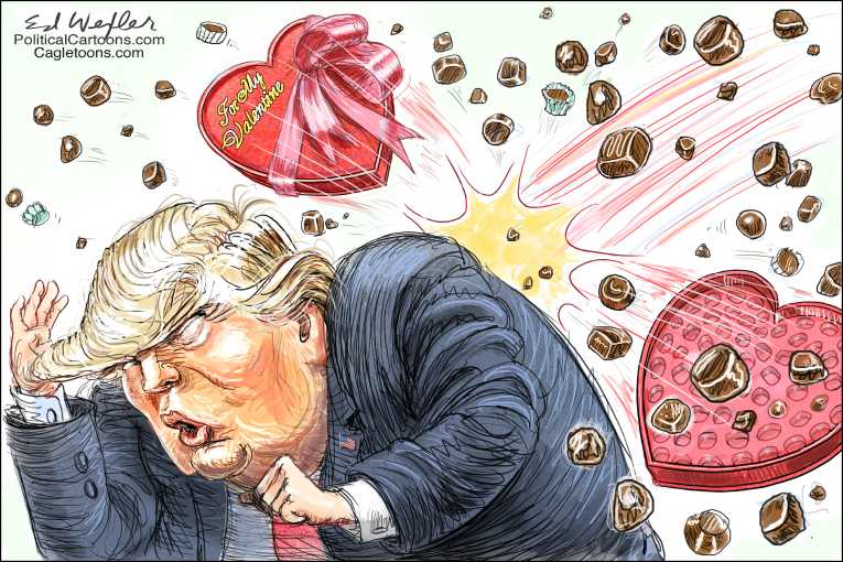 Political/Editorial Cartoon by Ed Wexler, PoliticalCartoons.com on Trump Presidency a Dream