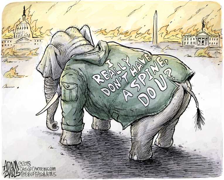 Political/Editorial Cartoon by Adam Zyglis, The Buffalo News on Republicans Rally Behind Trump