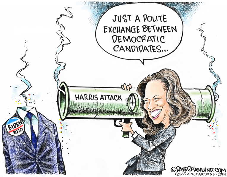 Political/Editorial Cartoon by Dave Granlund on Biden Outed