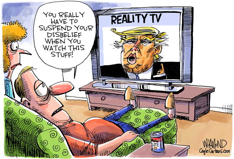 Political/Editorial Cartoon by Dave Whamond, Canada, PoliticalCartoons.com on Trump Rallies Hit Home