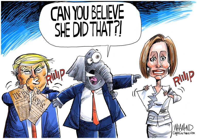 Political/Editorial Cartoon by Dave Whamond, Canada, PoliticalCartoons.com on Trump Performs