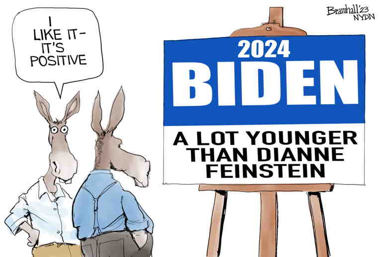 Political Cartoon on '2024 Race Heats Up' by Bill Bramhall, New York