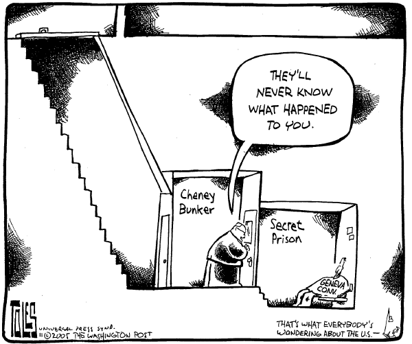 Editorial Cartoon by Tom Toles, Washington Post on The Man in Charge