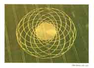 Crop Circle card
