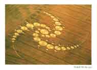 Crop Circle card