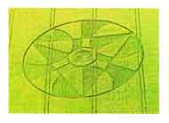 Crop Circle card
