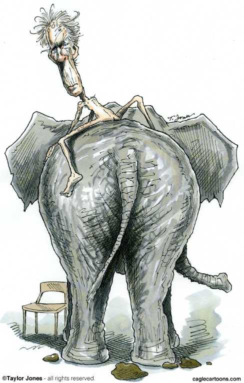 Political/Editorial Cartoon by Taylor Jones, Tribune Media Services on GOP Basking In Afterglow