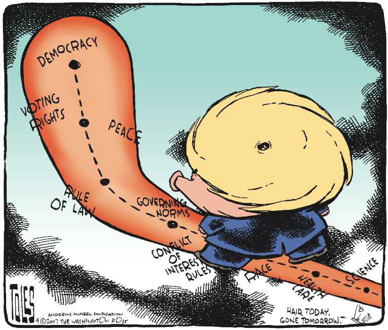 Political/Editorial Cartoon by Tom Toles, Washington Post on Trump Strikes Deal With Dems