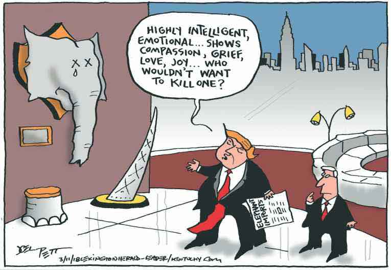 Political/Editorial Cartoon by Joel Pett, Lexington Herald-Leader, CWS/CartoonArts Intl. on In Other News