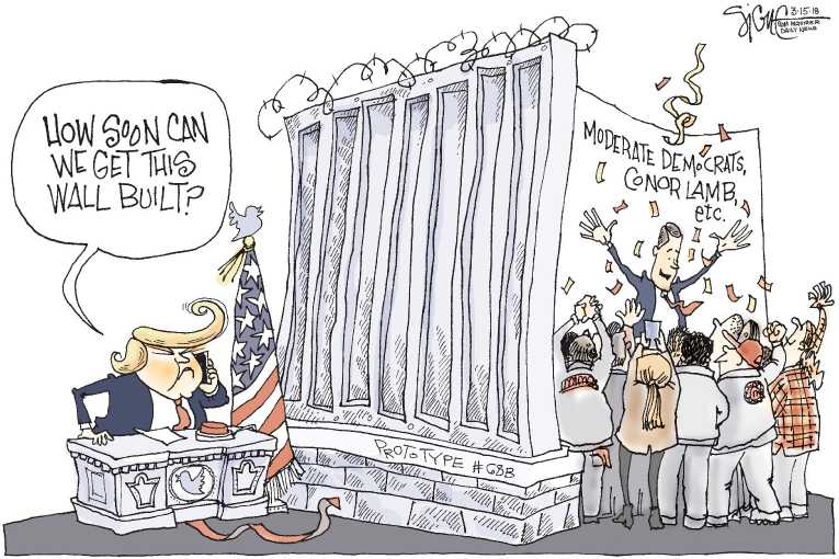 Political/Editorial Cartoon by Signe Wilkinson, Philadelphia Daily News on Dem Wins in Trump Country