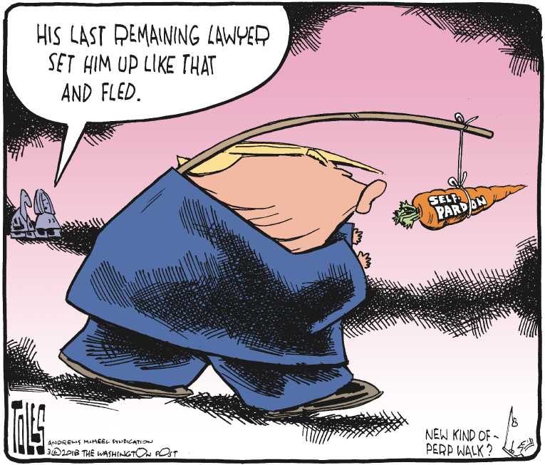 Political/Editorial Cartoon by Tom Toles, Washington Post on Trump Hitting Back