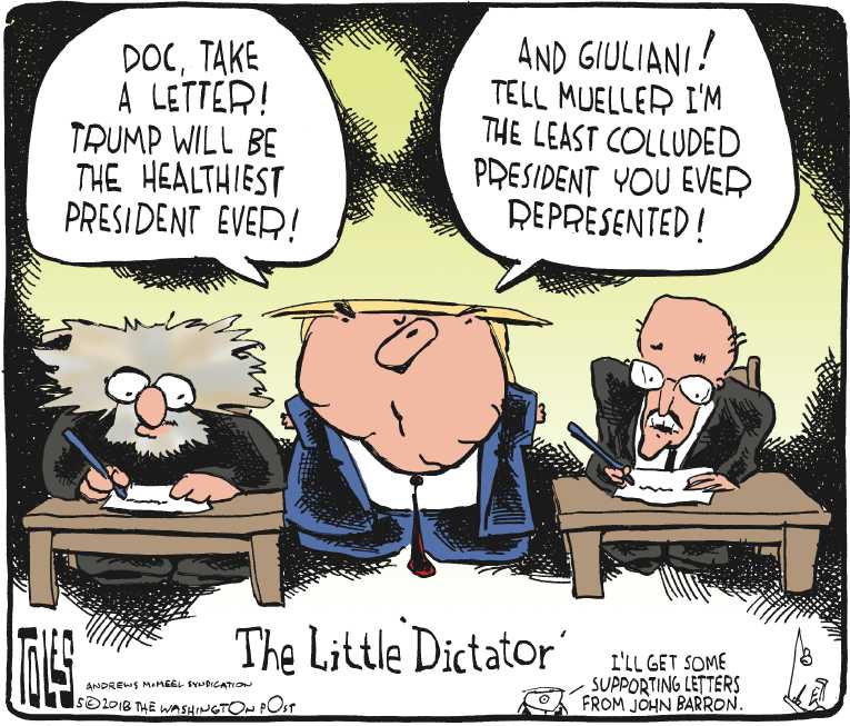 Political/Editorial Cartoon by Tom Toles, Washington Post on Trump Denies Affair