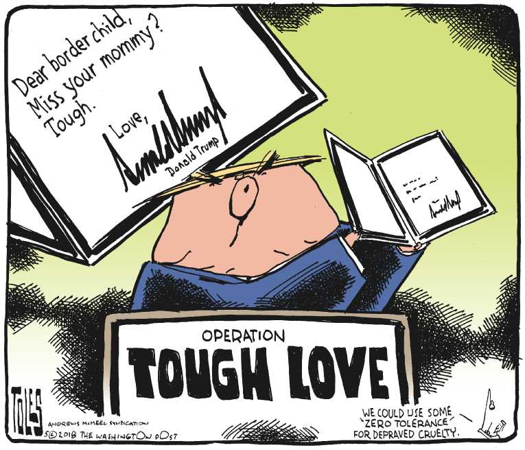 Political/Editorial Cartoon by Tom Toles, Washington Post on Homeland Security Tightening