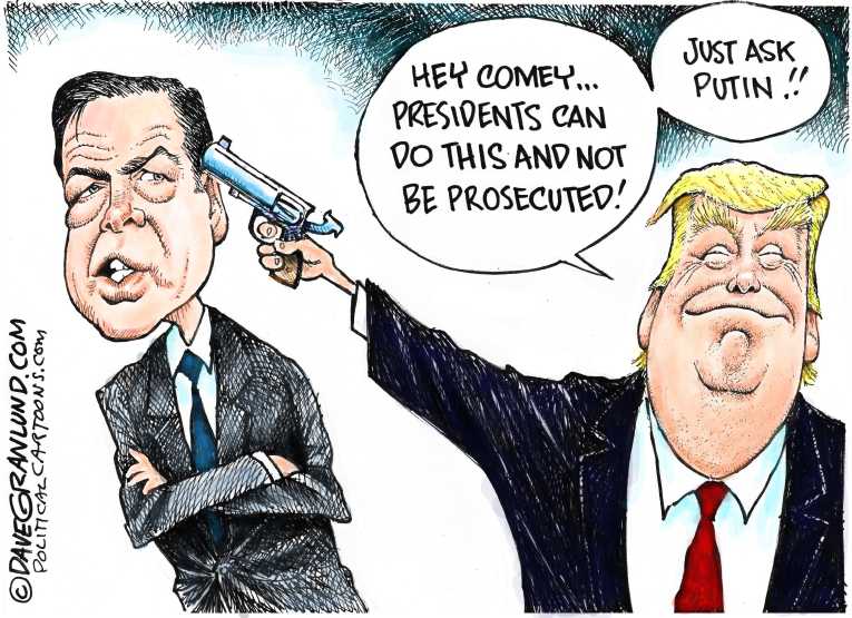 Political Cartoon on '“President Can Pardon Himself”' by Dave Granlund ...