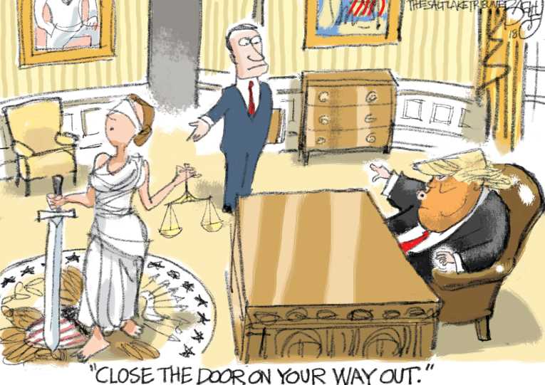 Political/Editorial Cartoon by Pat Bagley, Salt Lake Tribune on Trump Supporters Claim Wins