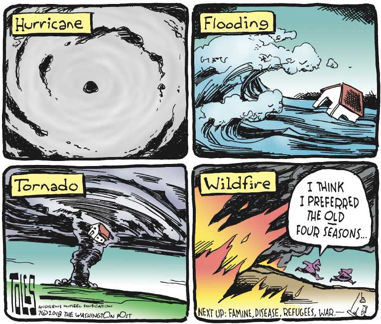 Political/Editorial Cartoon by Tom Toles, Washington Post on In Other News