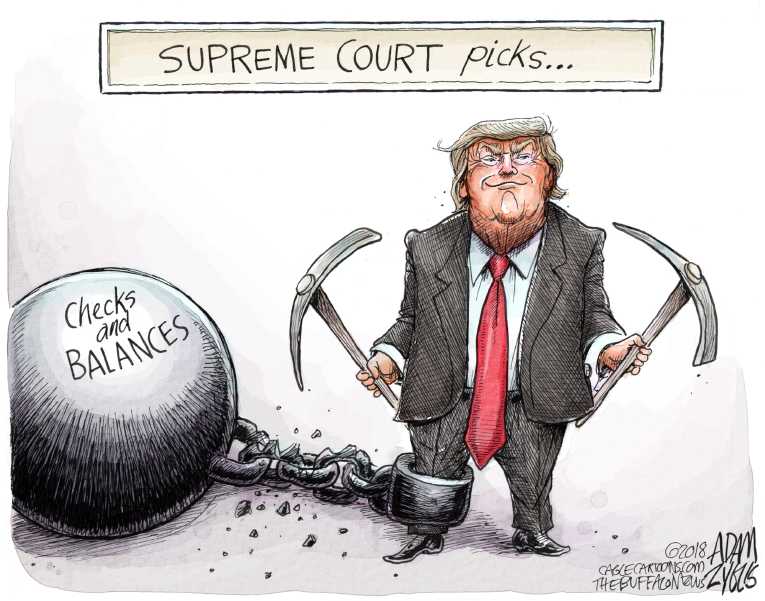 Political/Editorial Cartoon by Adam Zyglis, The Buffalo News on Trump Poised for Great Success